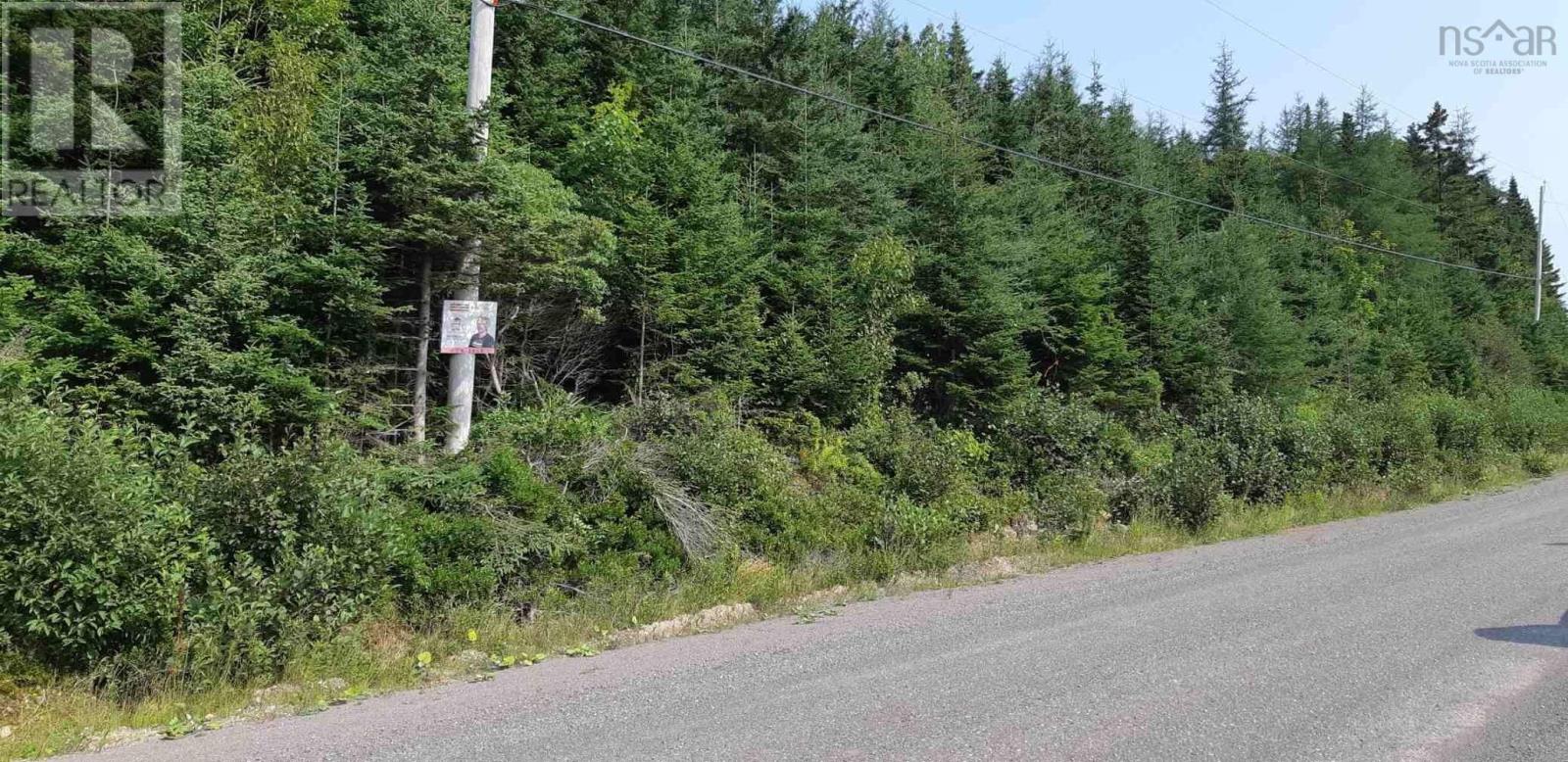 Lot Salem Road, Enon, Nova Scotia  B1J 1W1 - Photo 2 - 202203649