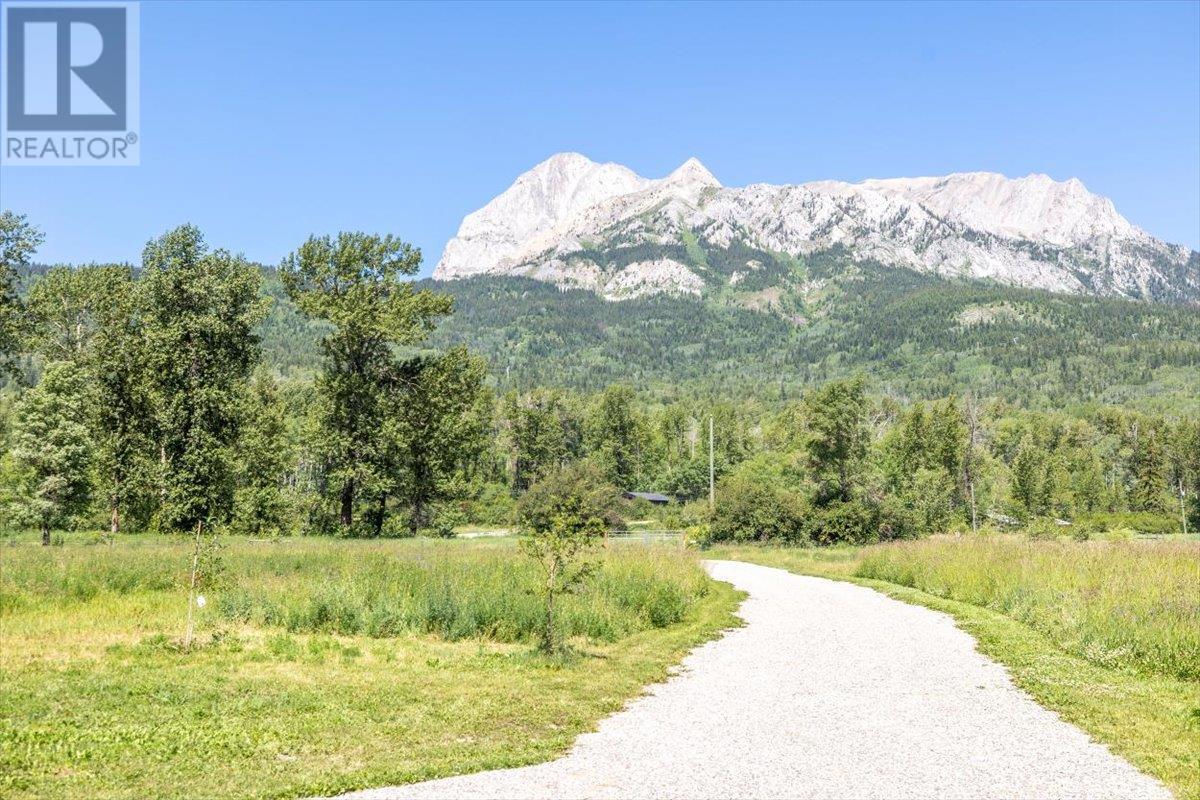 7005 Stubbs Road, Fernie, British Columbia  V0B 1M5 - Photo 11 - 10354789
