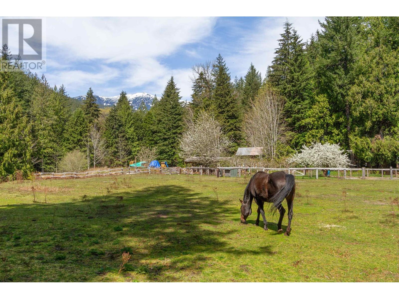 8101 Paradise Valley Road, Squamish, British Columbia  V0N 1H0 - Photo 5 - R3022984