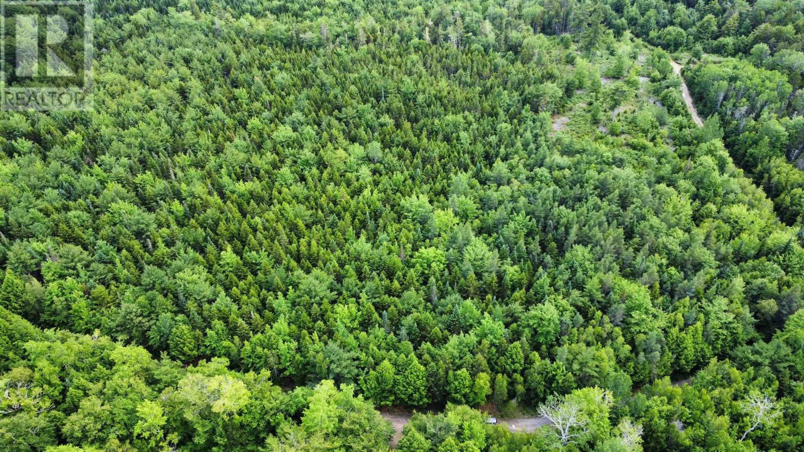 Lot 102 Arenburg Road, Buckfield, Nova Scotia