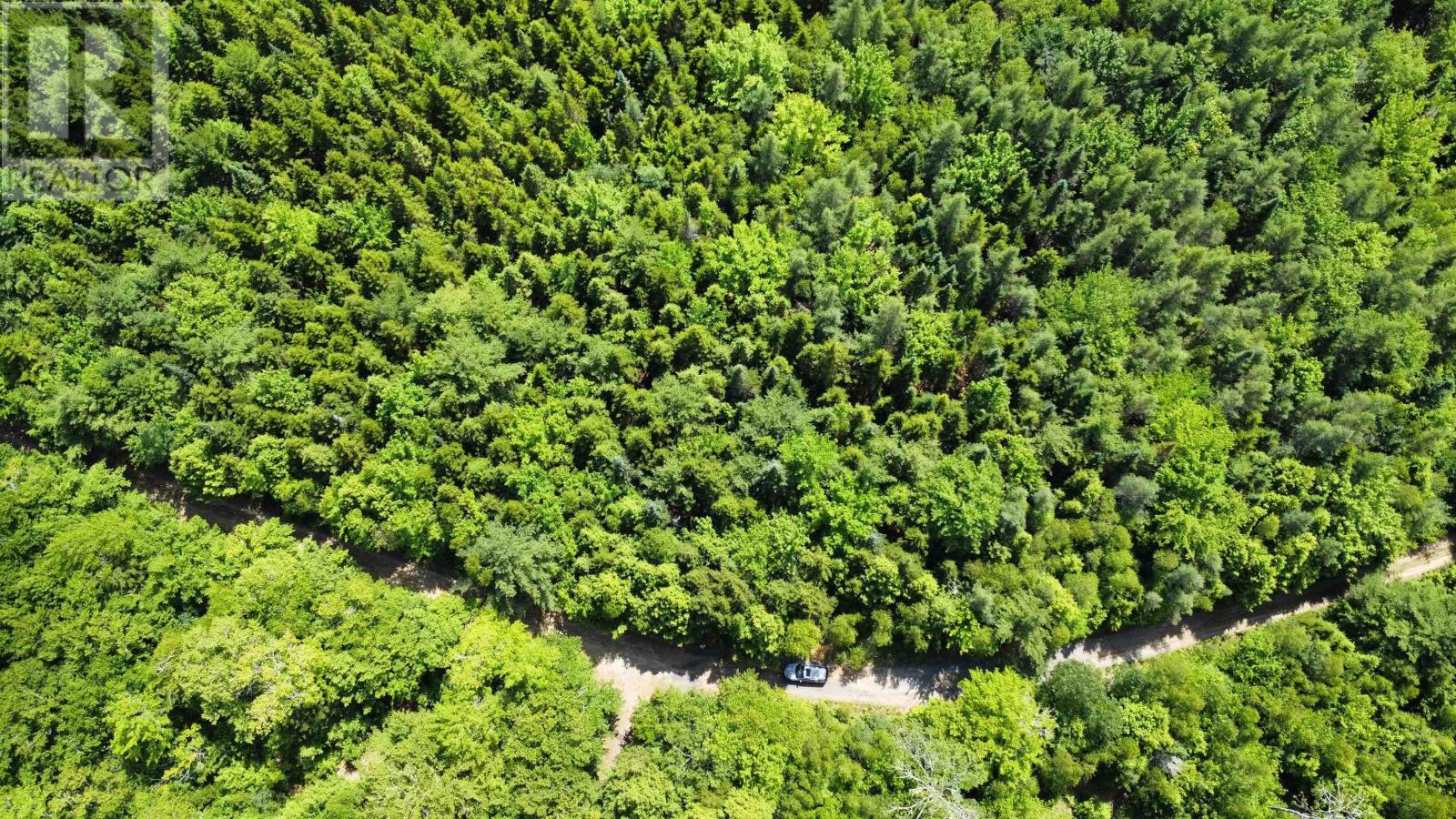 Lot 102 Arenburg Road, Buckfield, Nova Scotia  B4V 8M5 - Photo 24 - 202516421