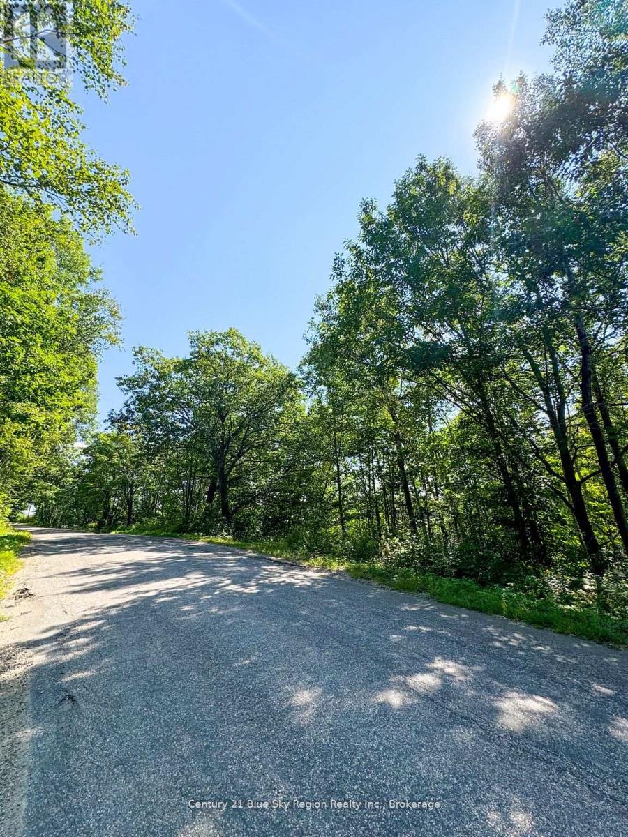Ptlt 13 South Shore Road, East Ferris, Ontario  P0H 1B0 - Photo 6 - X12255815