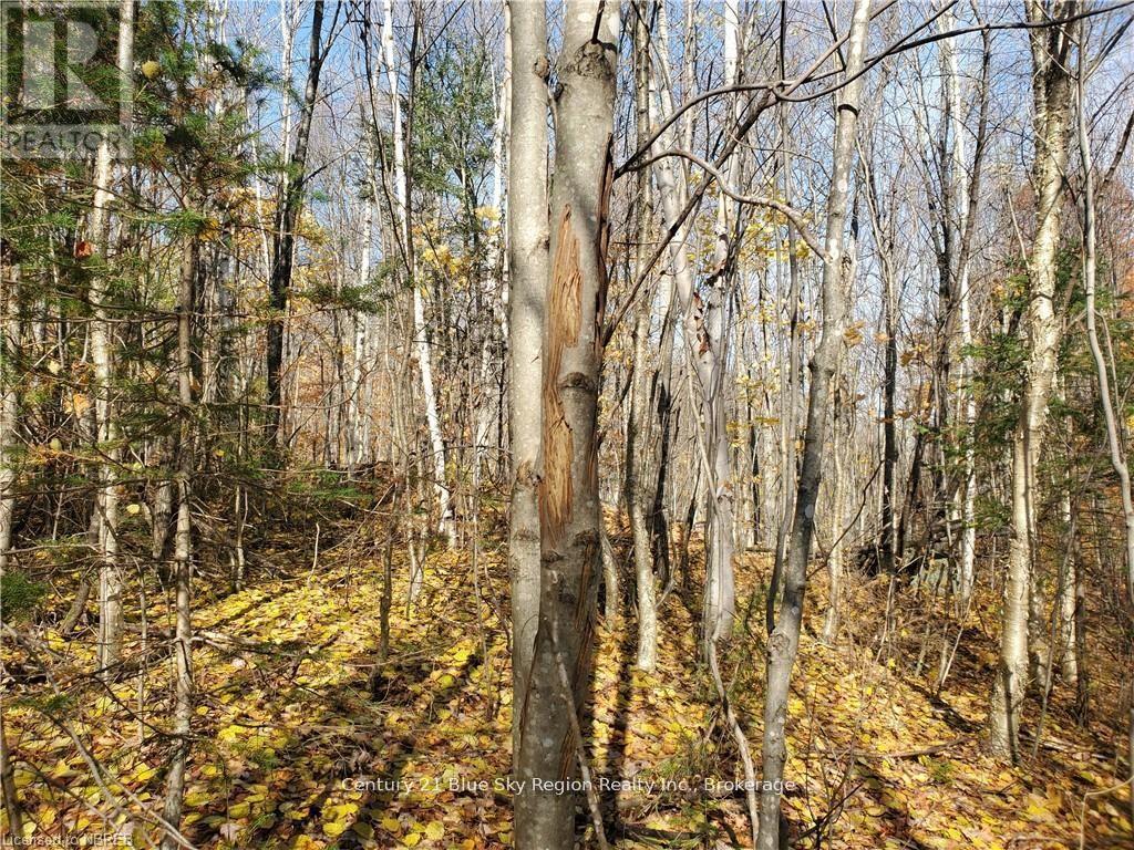 1772 Leighton Road, Machar, Ontario  P0A 1X0 - Photo 20 - X12263046
