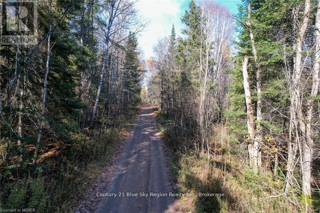 1772 Leighton Road, Machar, Ontario  P0A 1X0 - Photo 28 - X12263046