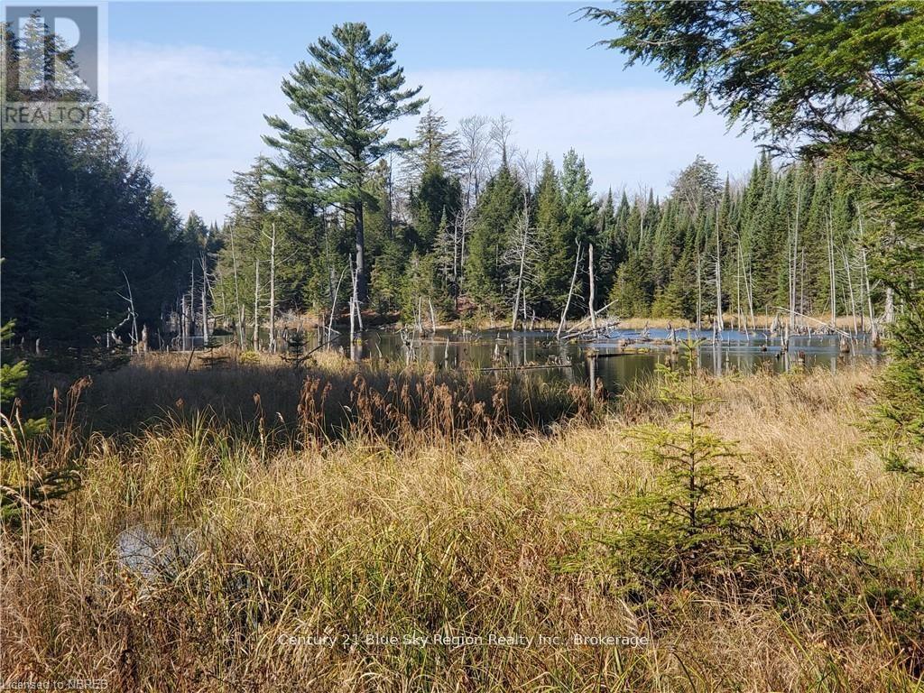 1772 Leighton Road, Machar, Ontario  P0A 1X0 - Photo 30 - X12263046