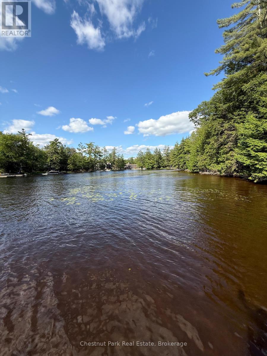 30 Mcvittie Island, Bracebridge, Ontario  P1L 1W4 - Photo 43 - X12263092