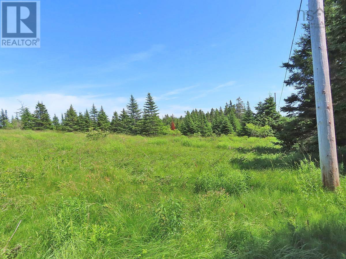 Lot 4 Highway 4, Soldiers Cove, Nova Scotia  B0E 3B0 - Photo 14 - 202403879