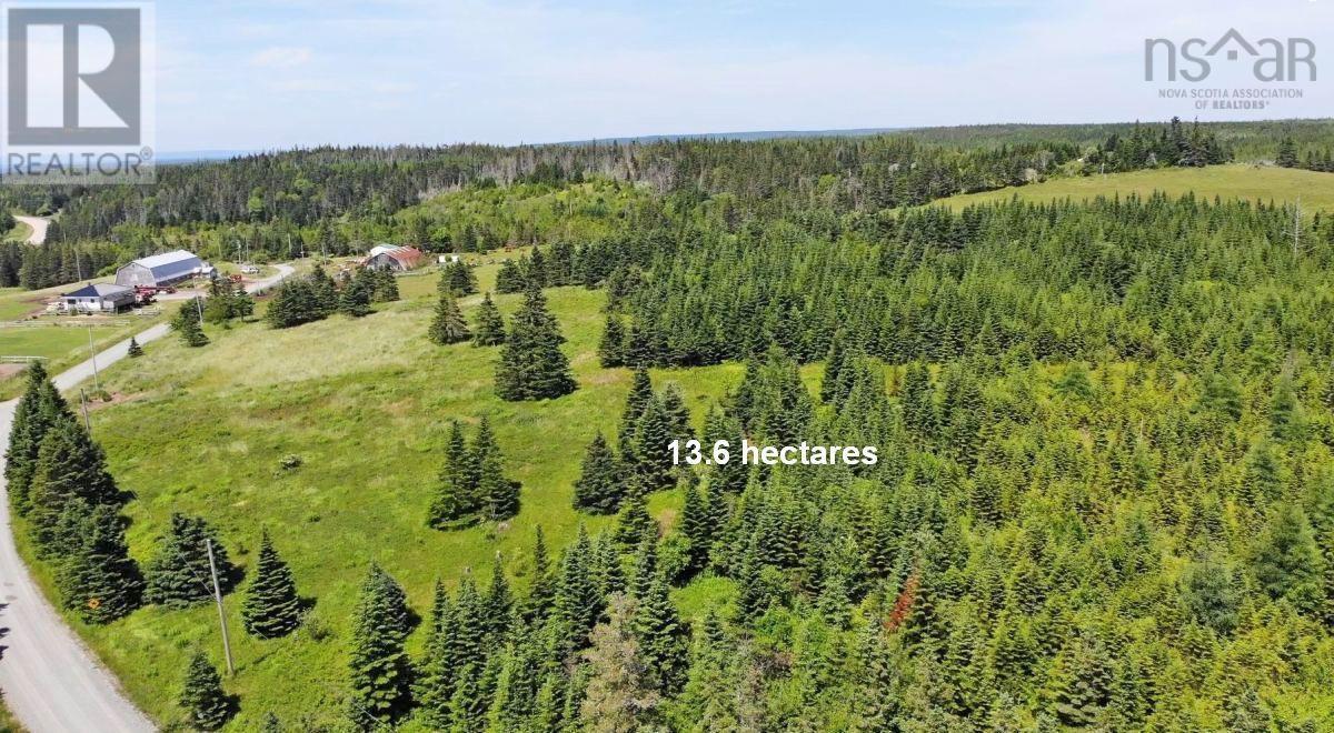 Lot 4 Highway 4, Soldiers Cove, Nova Scotia  B0E 3B0 - Photo 21 - 202403879