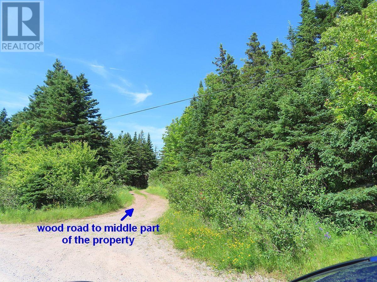 Lot 4 Highway 4, Soldiers Cove, Nova Scotia  B0E 3B0 - Photo 39 - 202403879