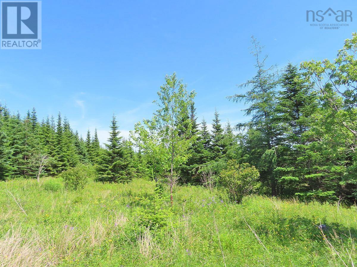 Lot 4 Highway 4, Soldiers Cove, Nova Scotia  B0E 3B0 - Photo 10 - 202403879