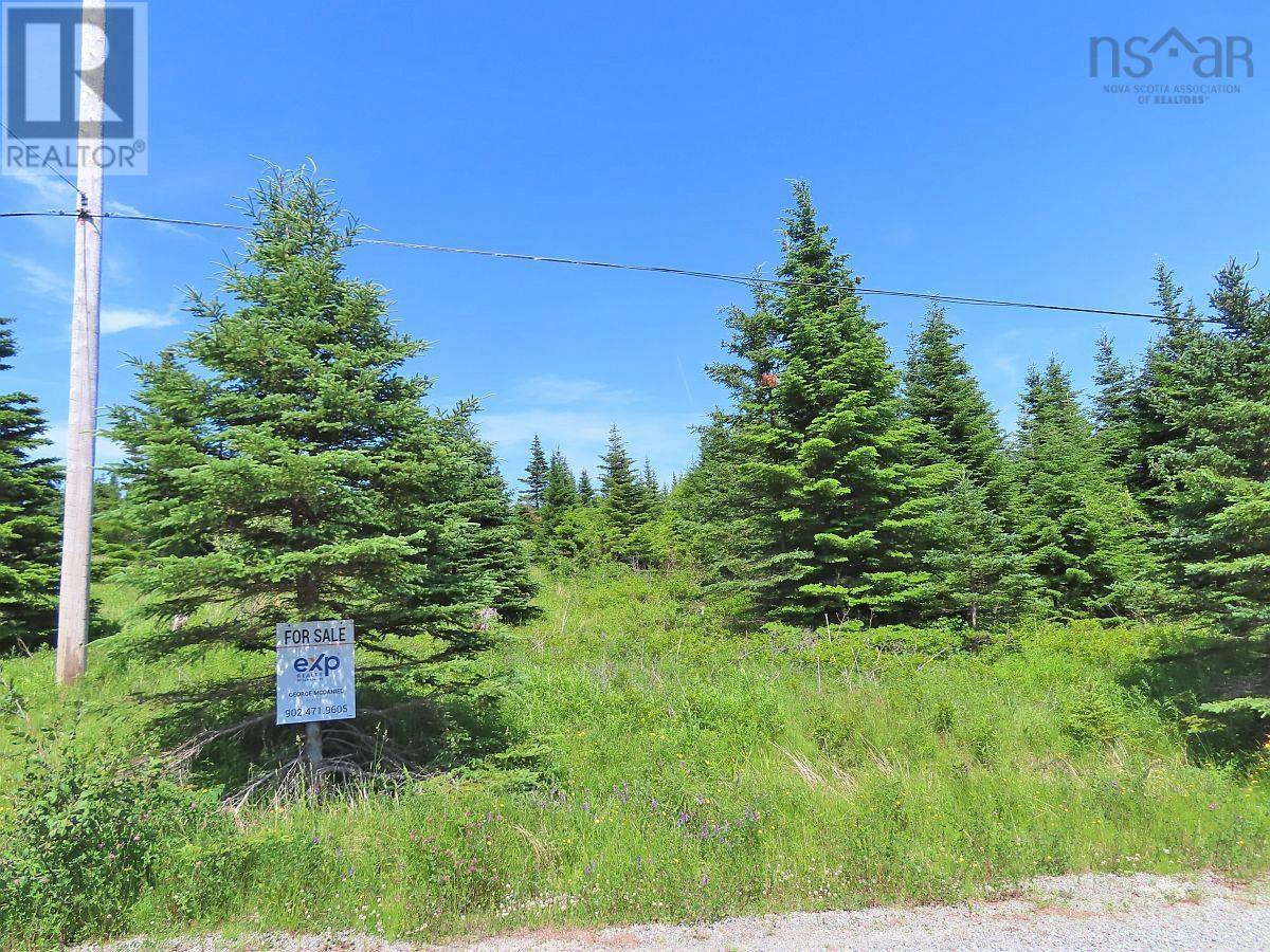Lot 4 Highway 4, Soldiers Cove, Nova Scotia  B0E 3B0 - Photo 18 - 202403879