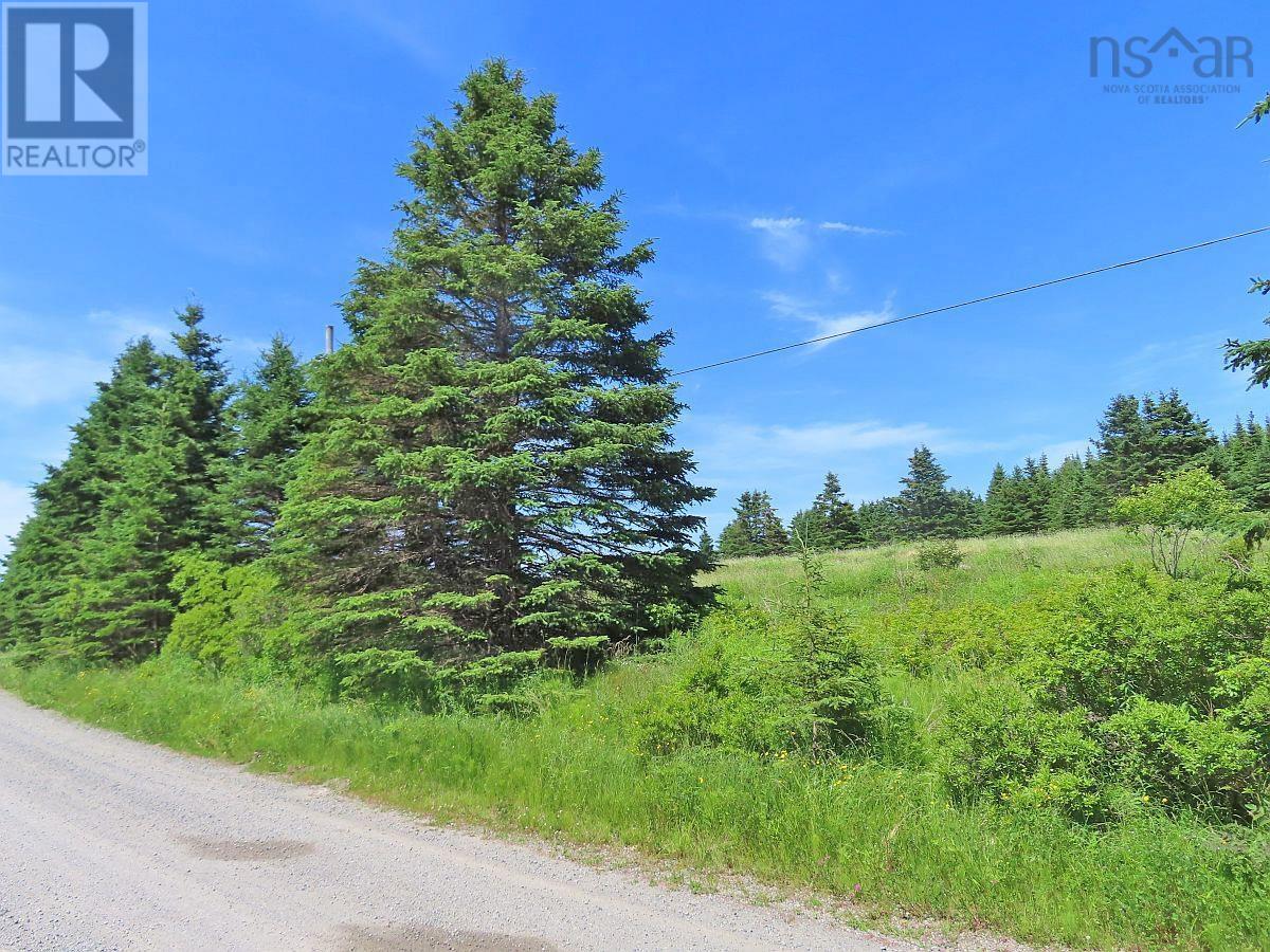 Lot 4 Highway 4, Soldiers Cove, Nova Scotia  B0E 3B0 - Photo 19 - 202403879