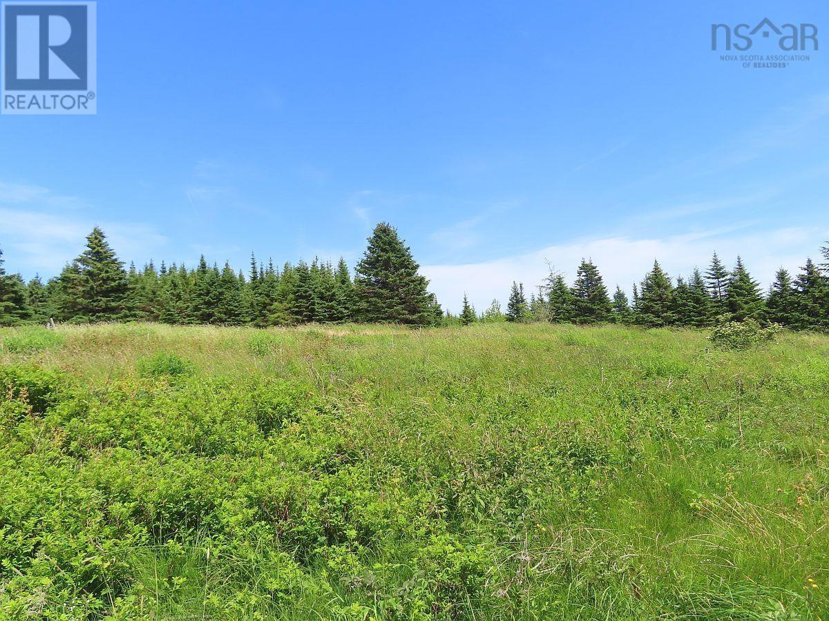 Lot 4 Highway 4, Soldiers Cove, Nova Scotia  B0E 3B0 - Photo 7 - 202403879
