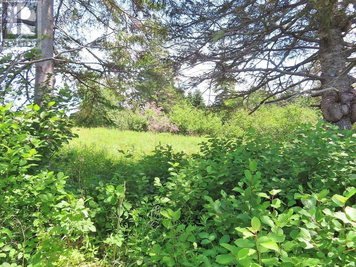Lot 4 Highway 4, Soldiers Cove, Nova Scotia  B0E 3B0 - Photo 38 - 202403879
