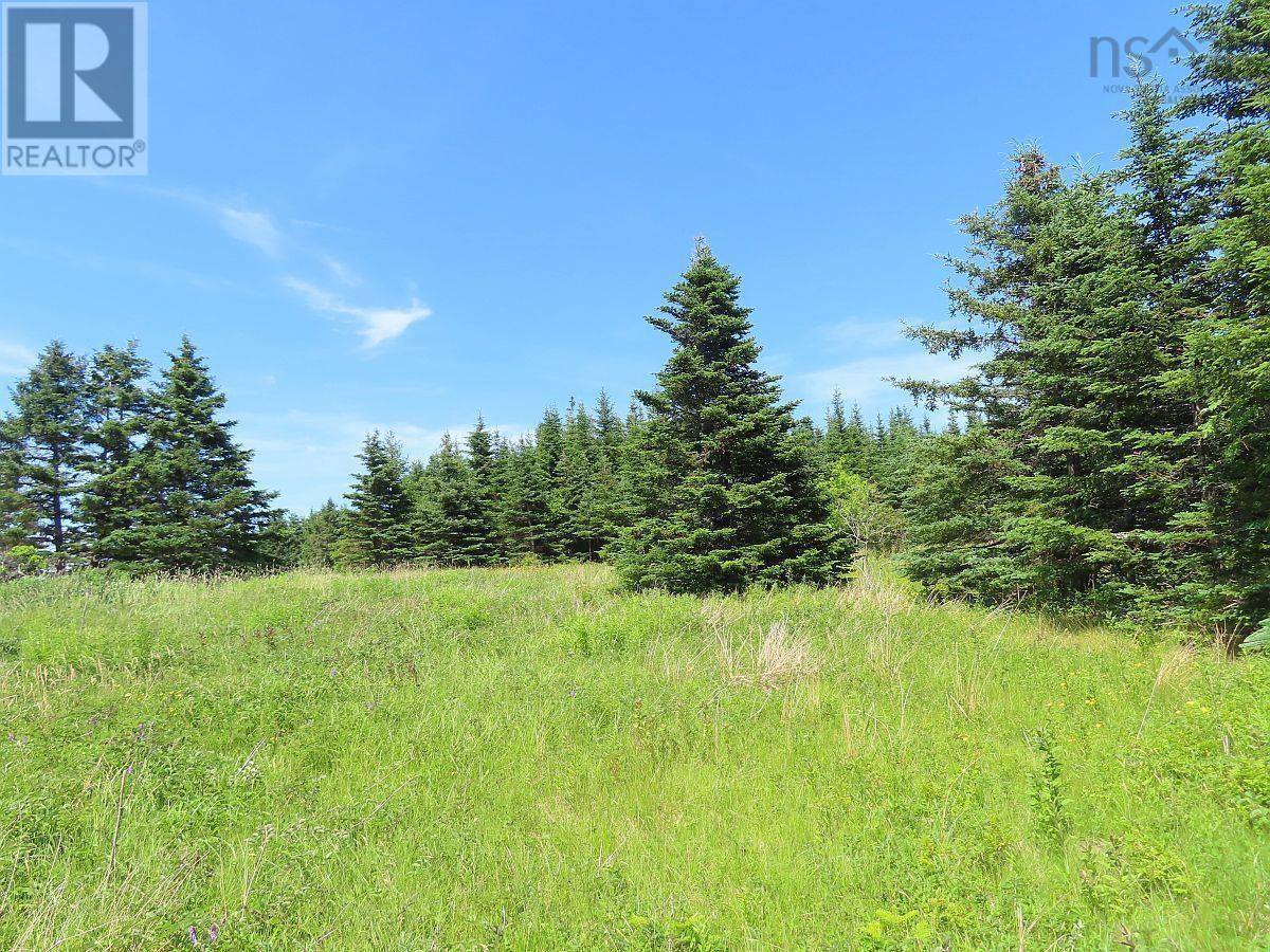 Lot 4 Highway 4, Soldiers Cove, Nova Scotia  B0E 3B0 - Photo 8 - 202403879