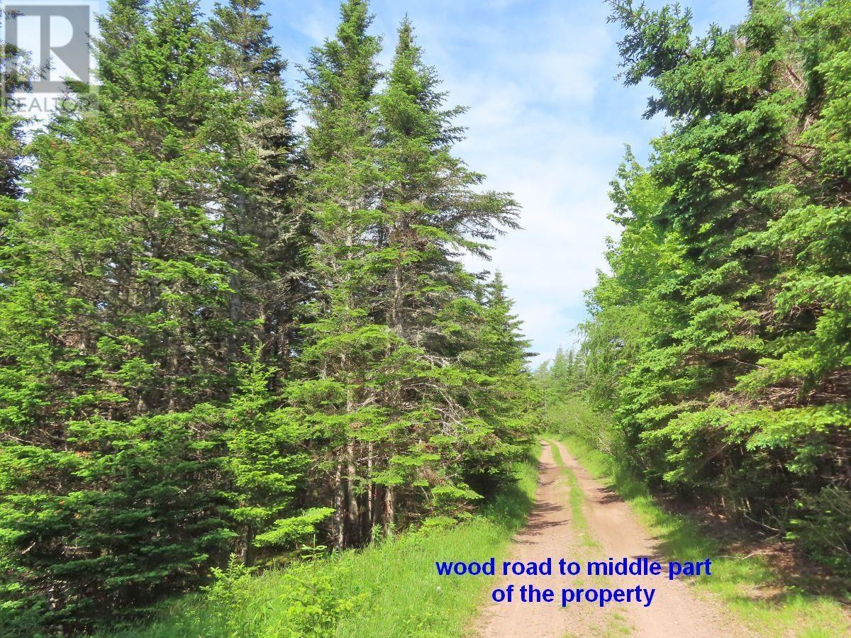 Lot 4 Highway 4, Soldiers Cove, Nova Scotia  B0E 3B0 - Photo 40 - 202403879