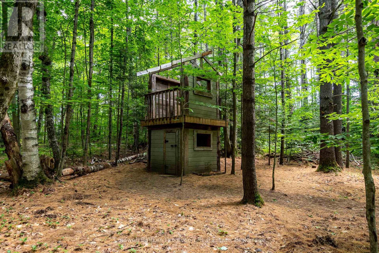 549 Greer Road, Huntsville, Ontario  P0B 1M0 - Photo 45 - X12263313