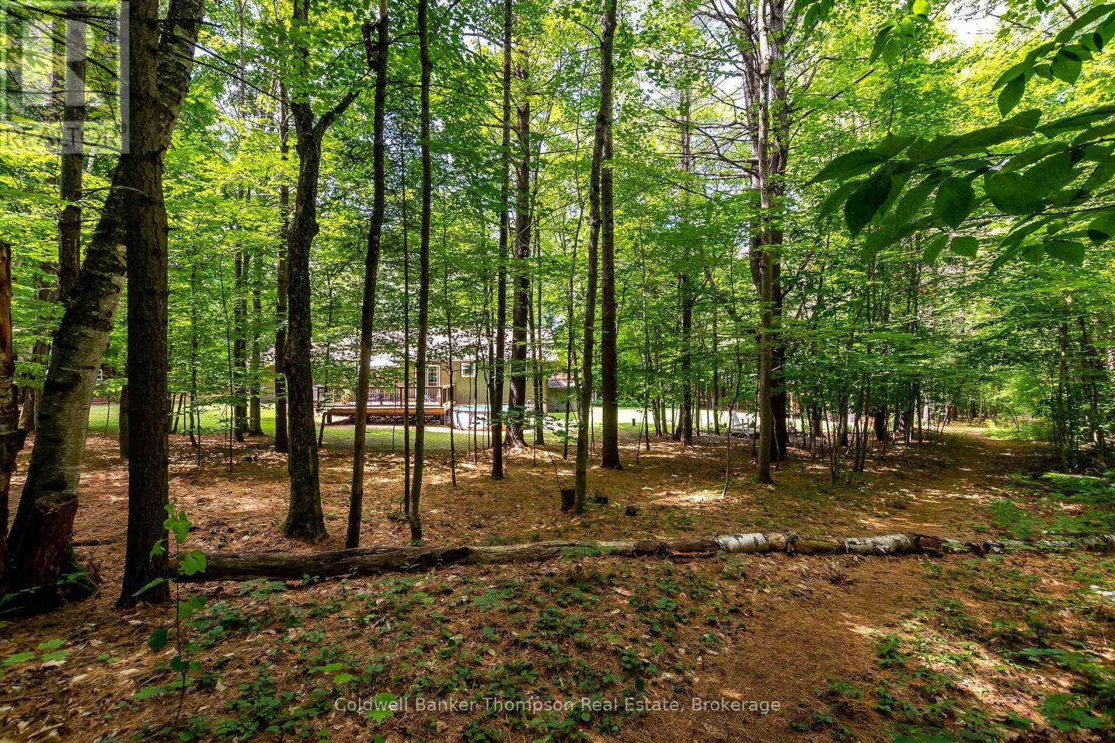 549 Greer Road, Huntsville, Ontario  P0B 1M0 - Photo 46 - X12263313