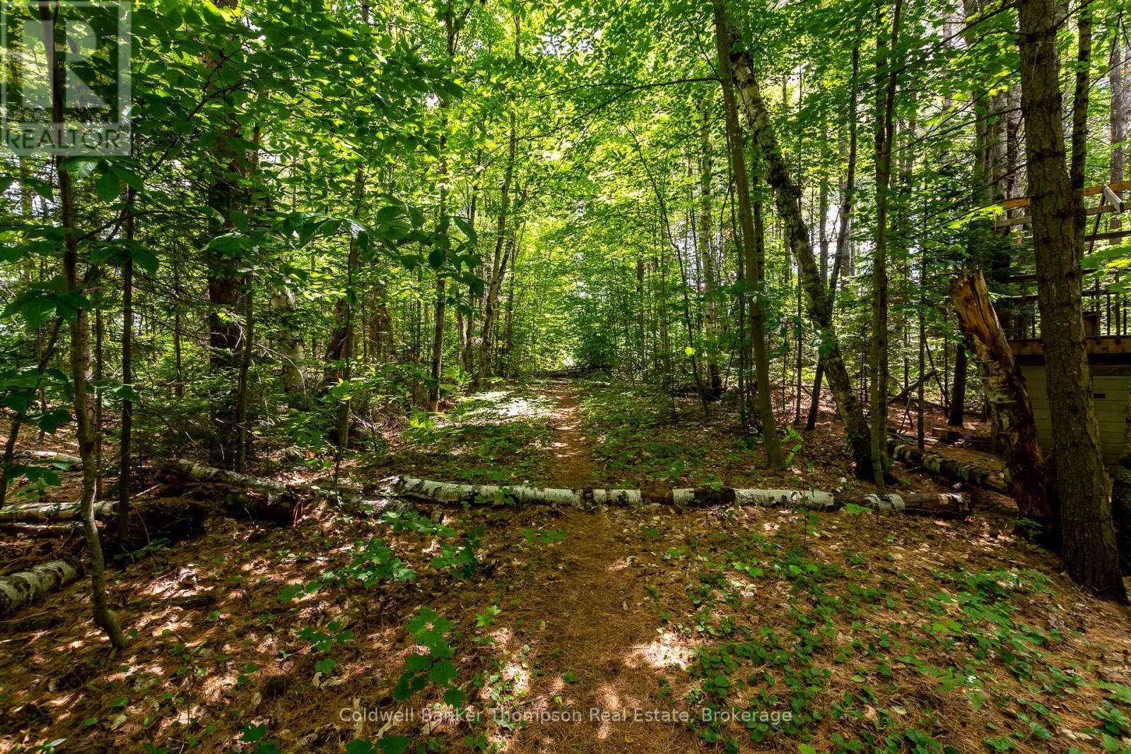549 Greer Road, Huntsville, Ontario  P0B 1M0 - Photo 47 - X12263313