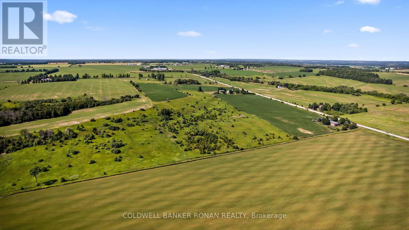 5376 County 15 Road, Adjala-Tosorontio, Ontario  L9R 1V3 - Photo 47 - N12263259