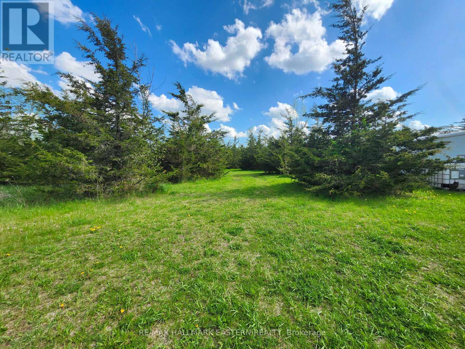 2098 13th Line E, Trent Hills, Ontario  K0K 2M0 - Photo 7 - X12155695