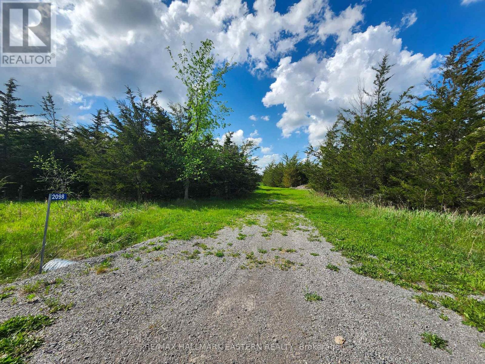 2098 13th Line E, Trent Hills, Ontario  K0K 2M0 - Photo 5 - X12155695