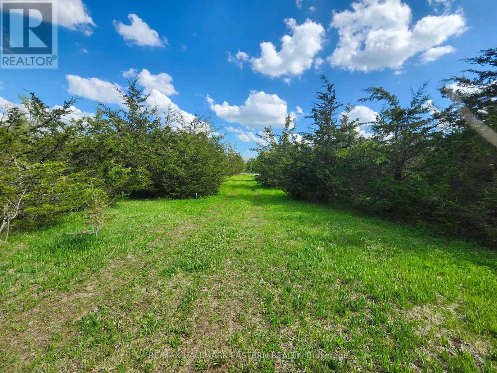 2098 13th Line E, Trent Hills, Ontario  K0K 2M0 - Photo 6 - X12155695