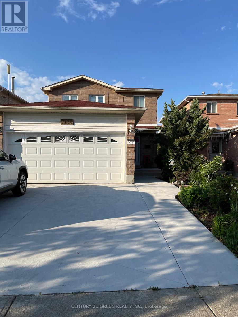 Bsmt - 5091 Sunray Drive, Mississauga, Ontario  L5R 2W2 - Photo 1 - W12263443
