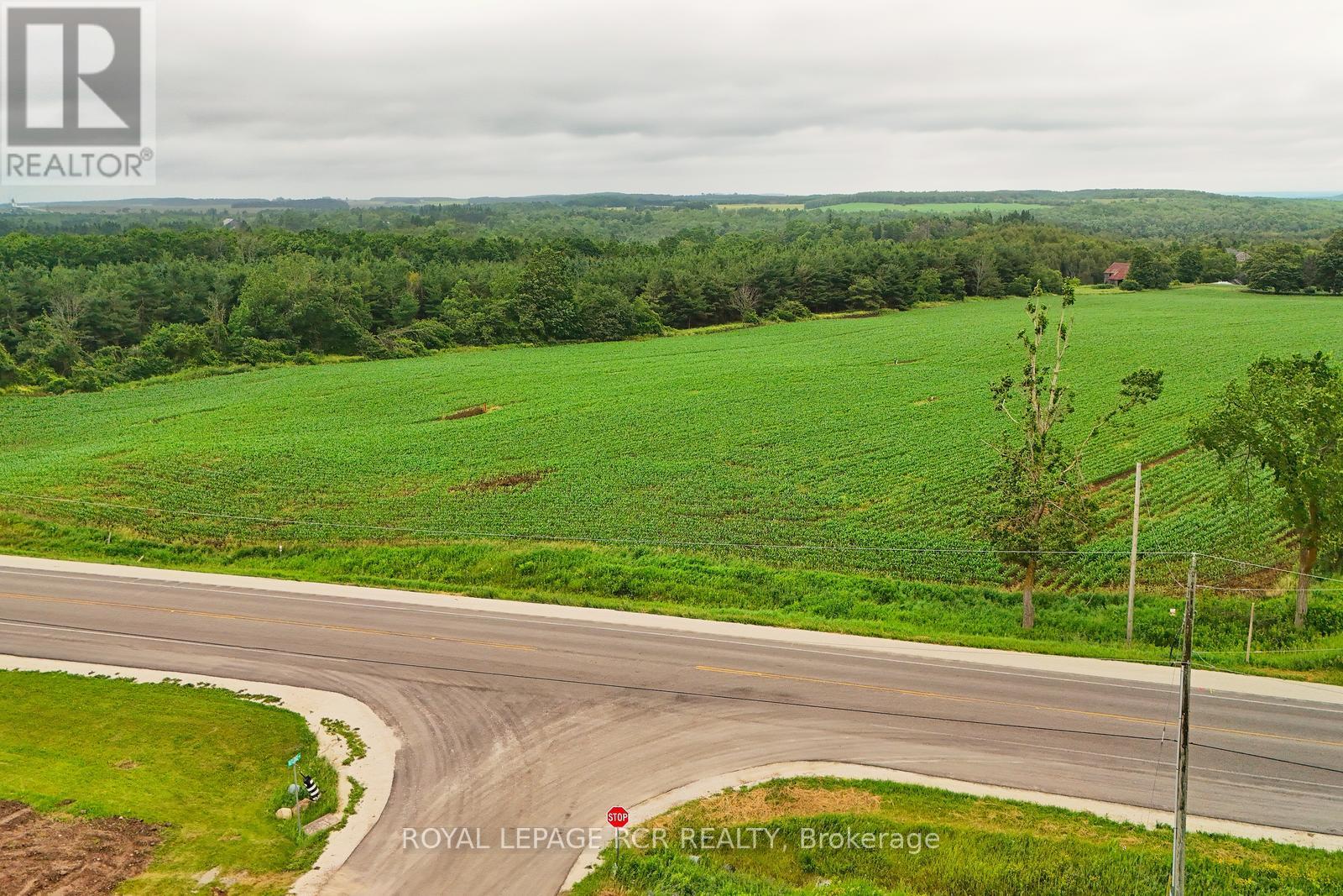 537086 Main St, Melancthon, Ontario  L9V 1X6 - Photo 11 - X12262015