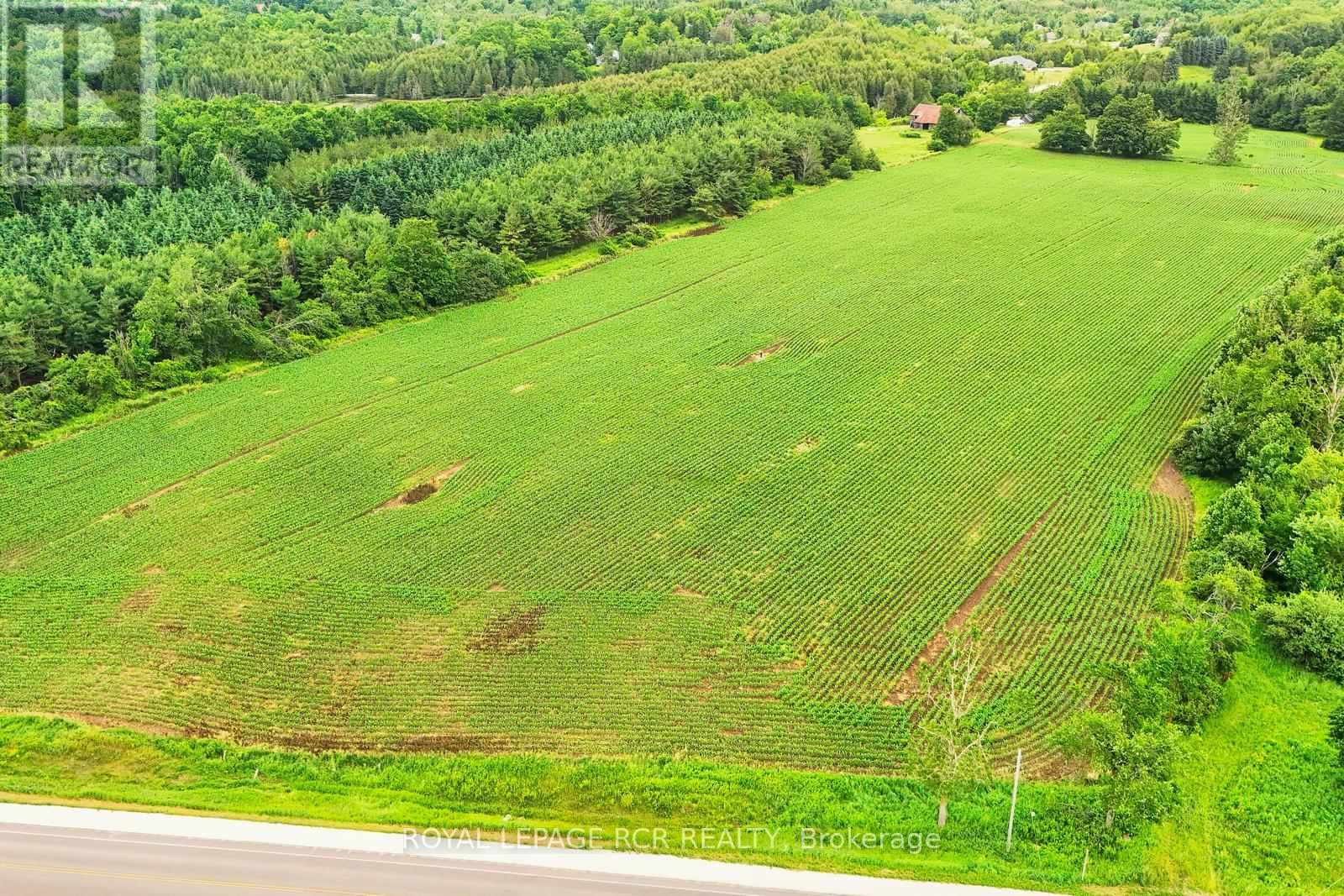 537086 Main St, Melancthon, Ontario  L9V 1X6 - Photo 5 - X12262015