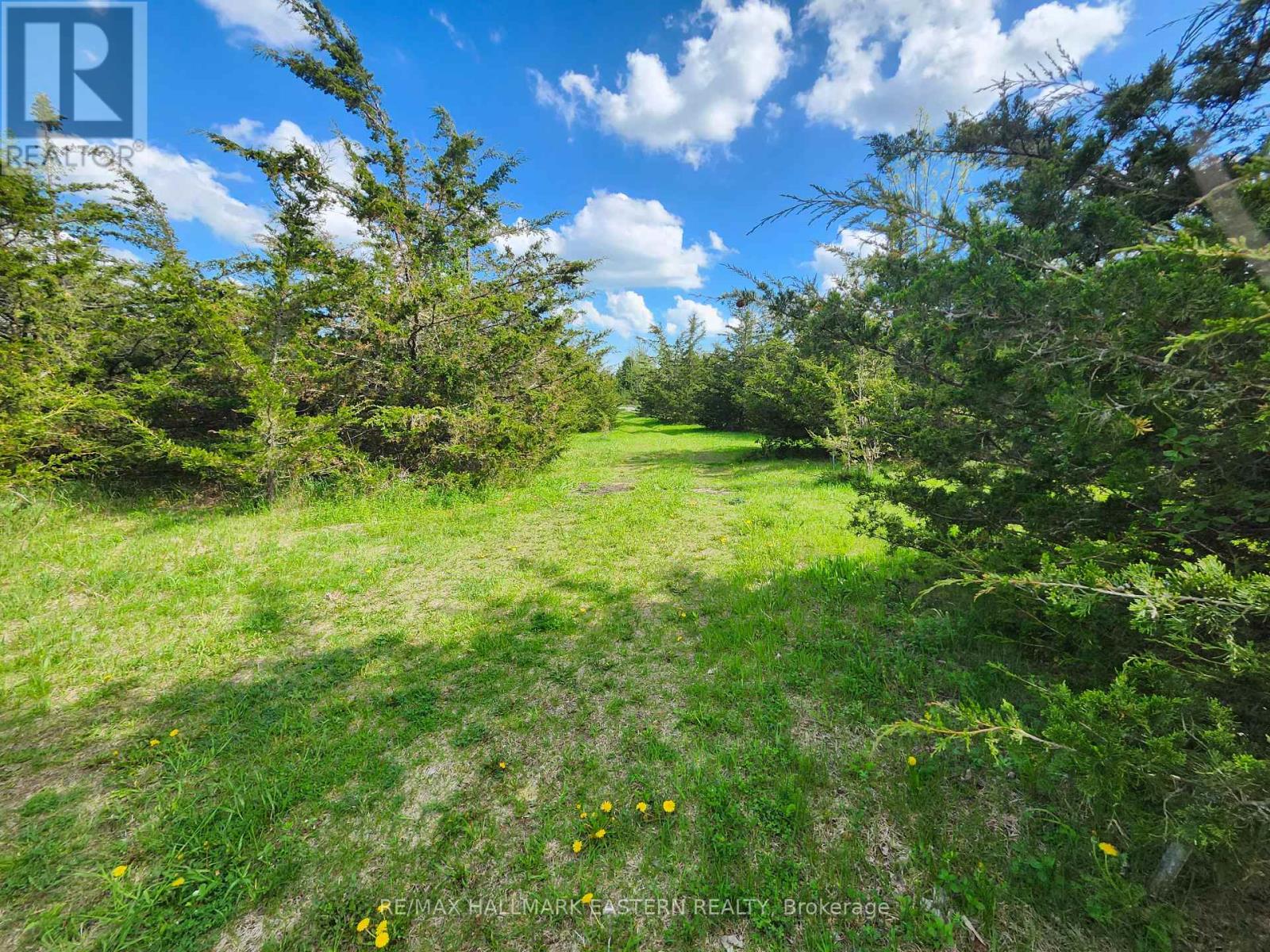 2098 13th Line E, Trent Hills, Ontario  K0K 2M0 - Photo 11 - X12155695
