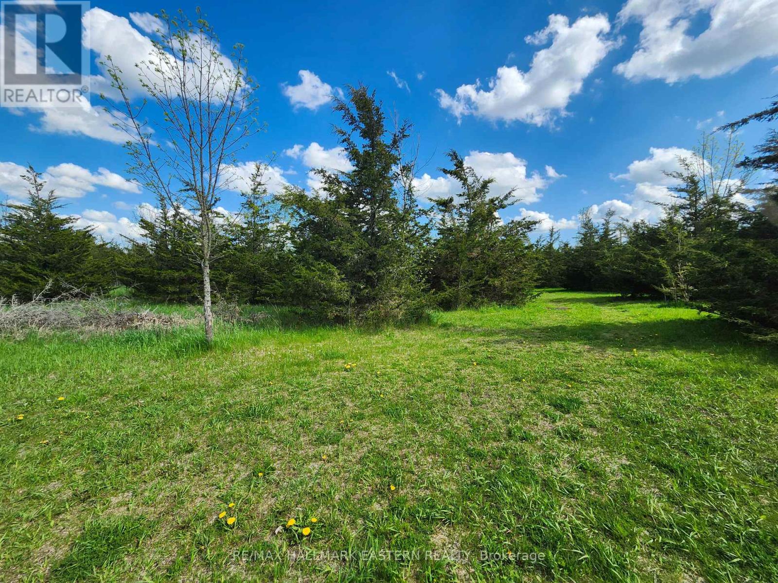 2098 13th Line E, Trent Hills, Ontario  K0K 2M0 - Photo 12 - X12155695