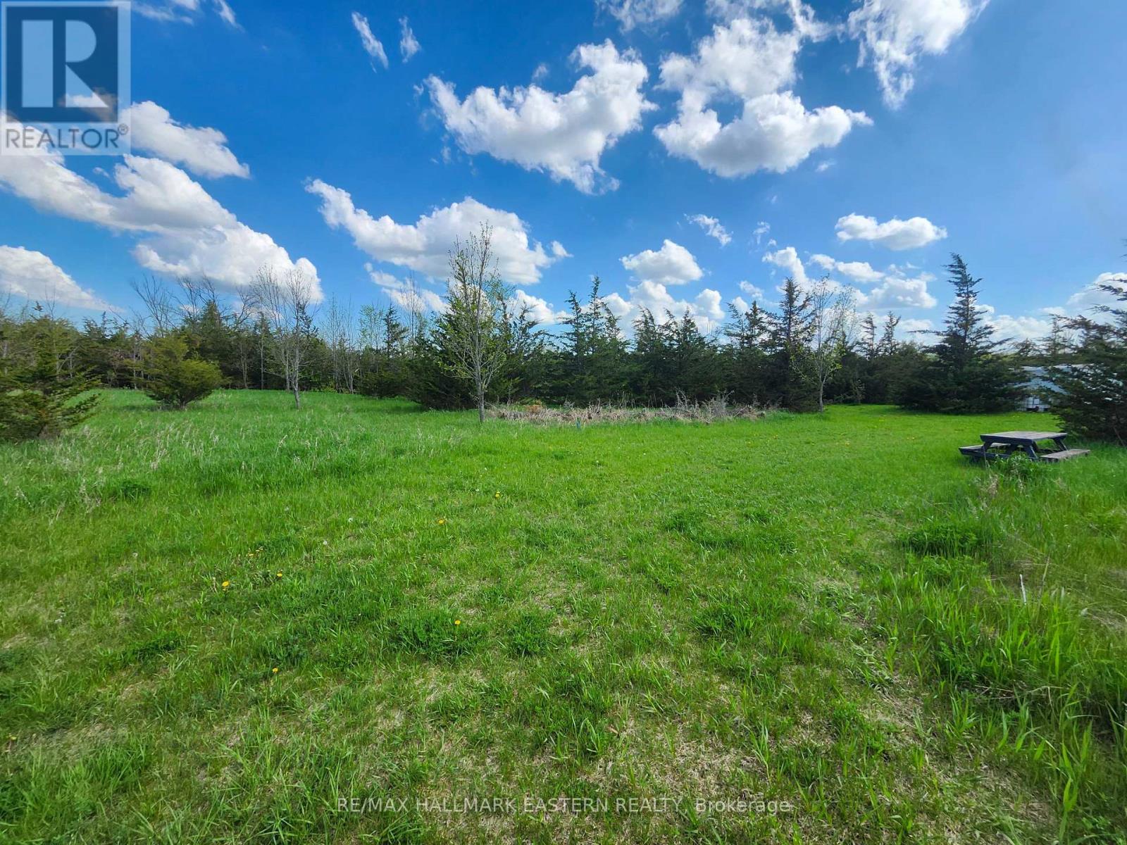 2098 13th Line E, Trent Hills, Ontario  K0K 2M0 - Photo 8 - X12155695