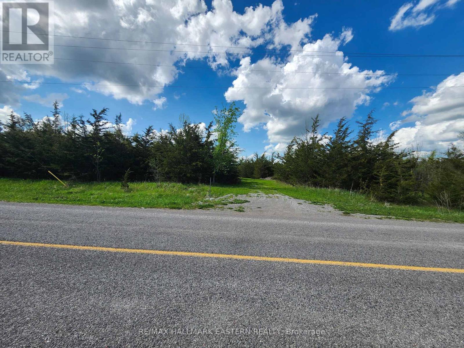 2098 13th Line E, Trent Hills, Ontario  K0K 2M0 - Photo 4 - X12155695
