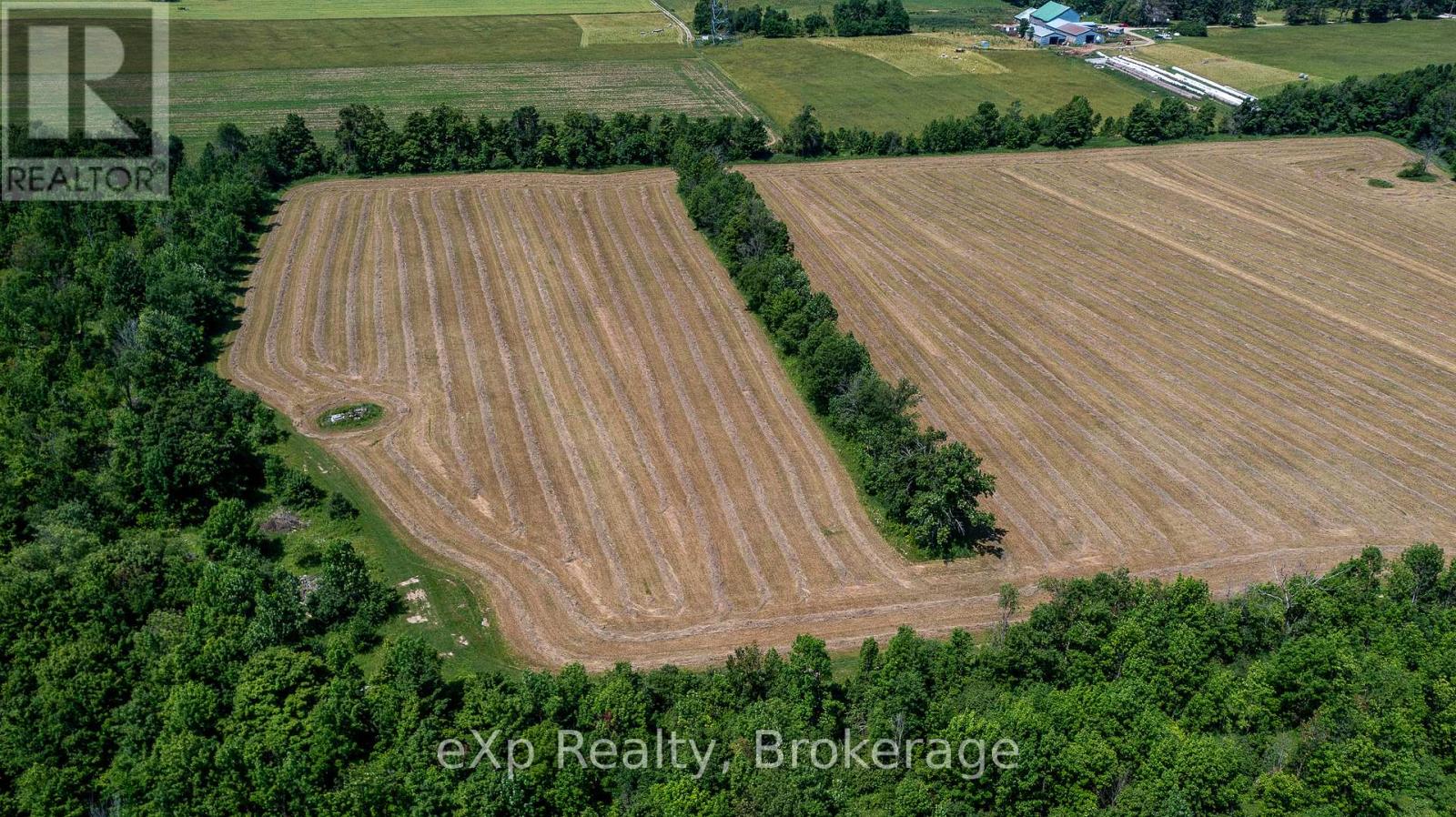 463086 Concession 24, Georgian Bluffs, Ontario  N0H 2T0 - Photo 11 - X12263546