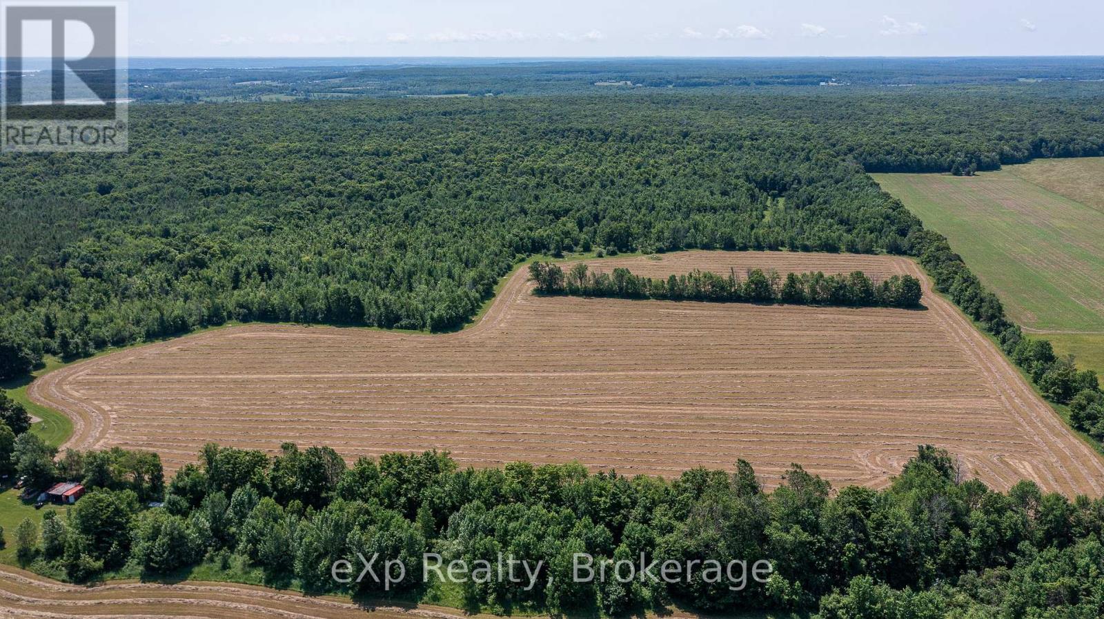 463086 Concession 24, Georgian Bluffs, Ontario  N0H 2T0 - Photo 4 - X12263546
