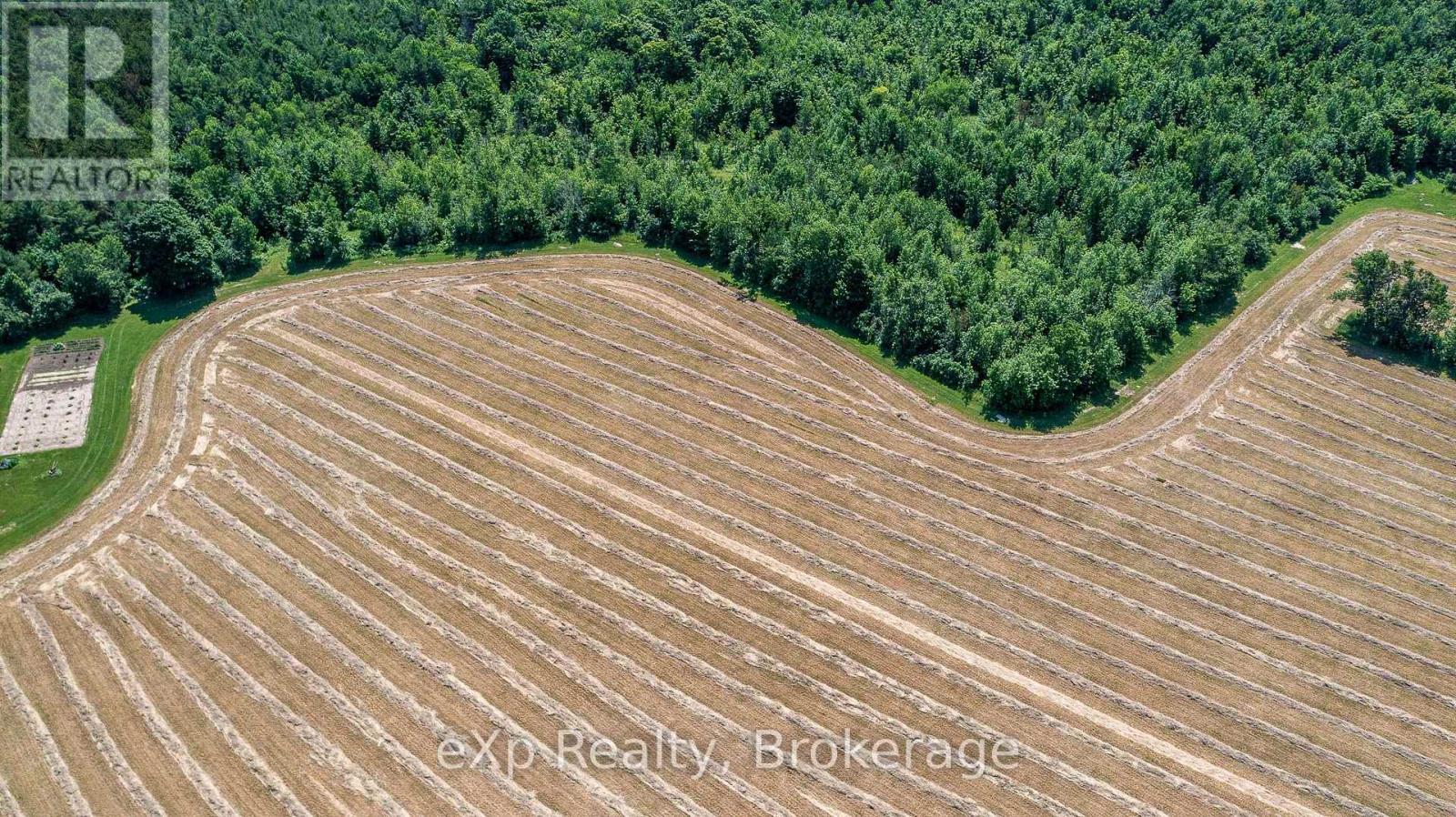 463086 Concession 24, Georgian Bluffs, Ontario  N0H 2T0 - Photo 5 - X12263546