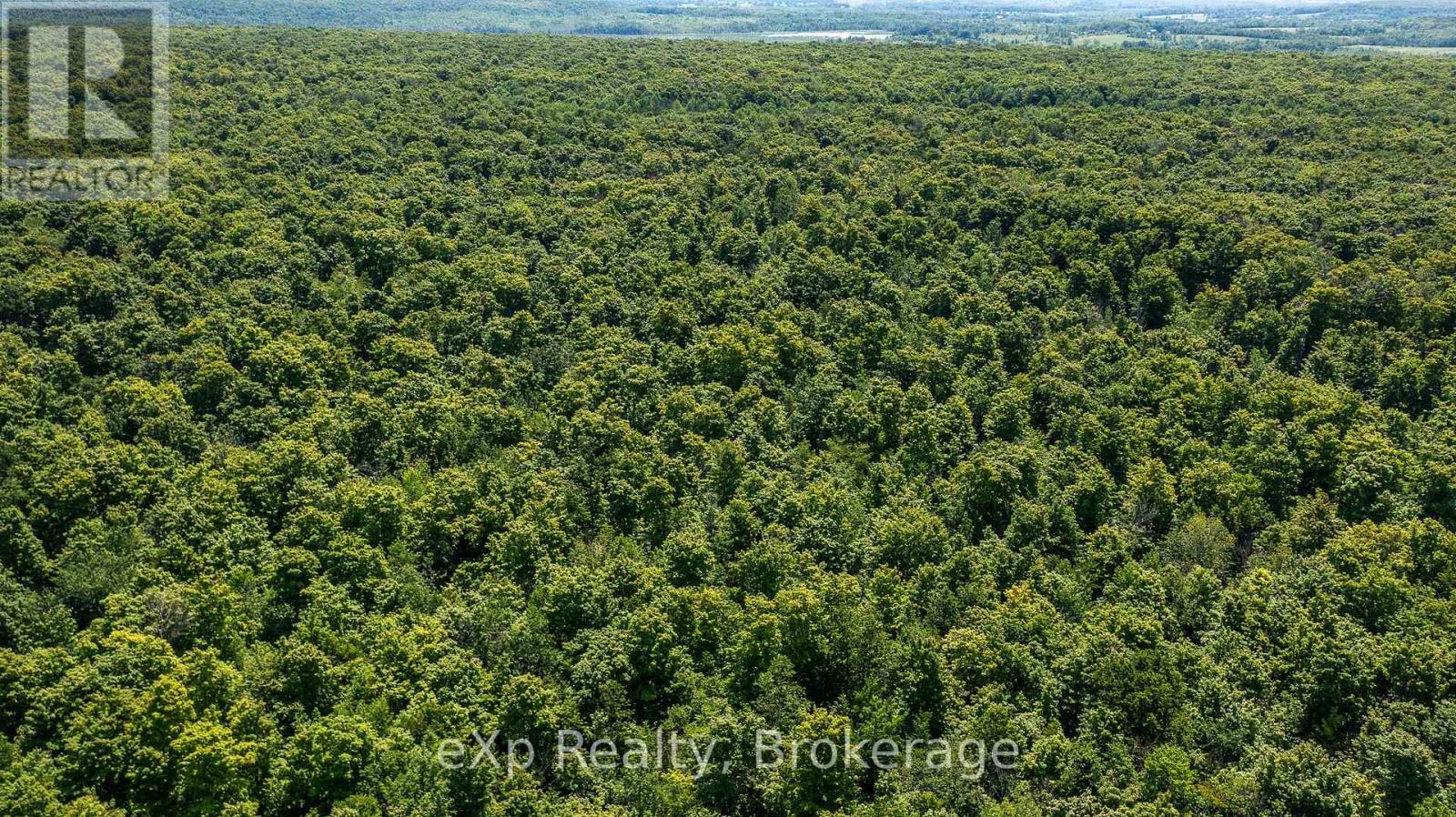 463086 Concession 24, Georgian Bluffs, Ontario  N0H 2T0 - Photo 8 - X12263546