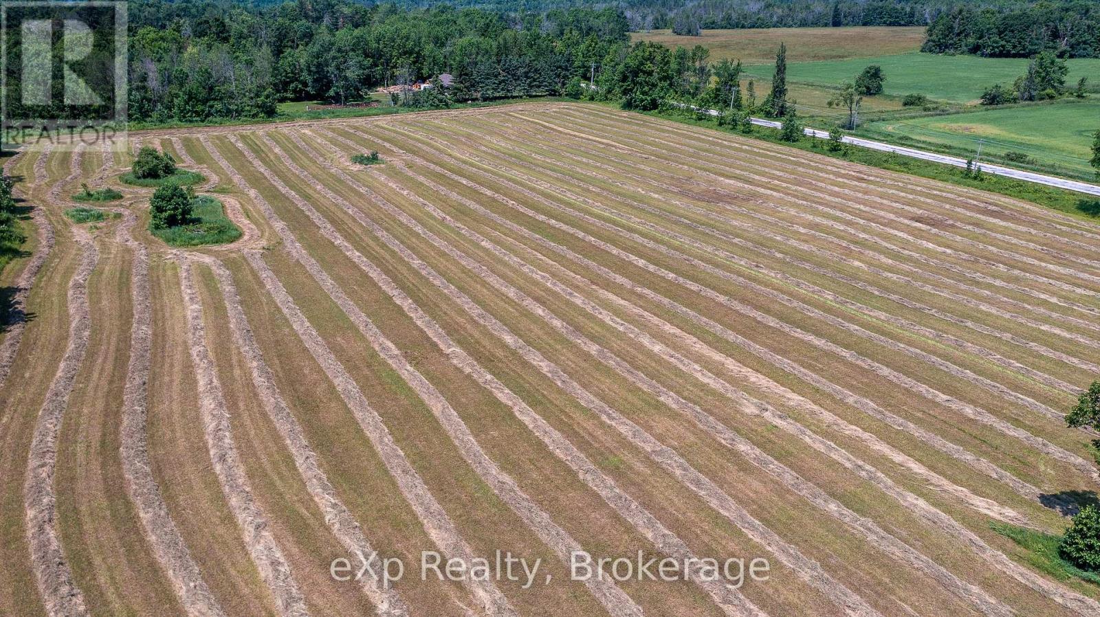 463086 Concession 24, Georgian Bluffs, Ontario  N0H 2T0 - Photo 12 - X12263553