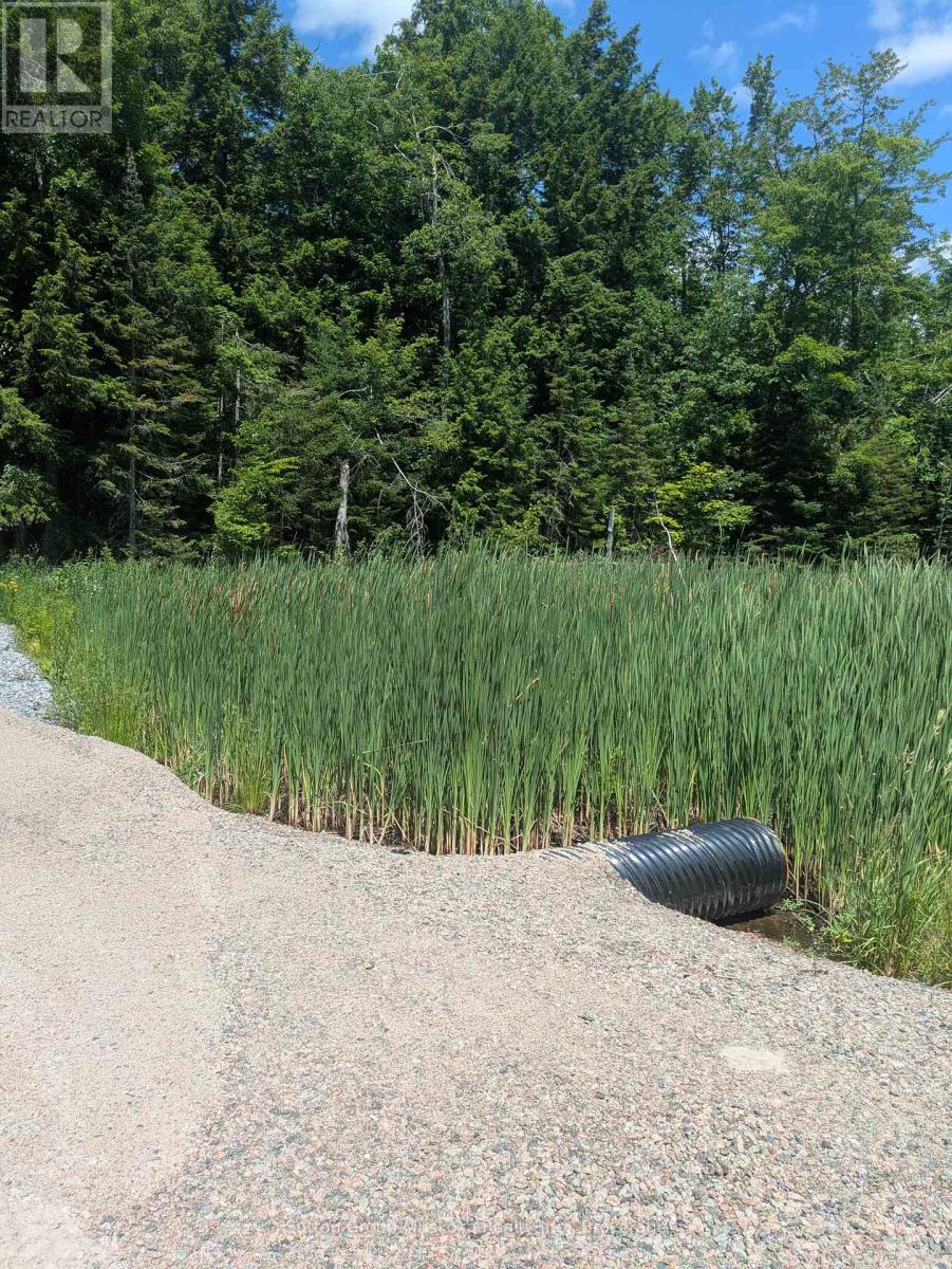 0 118 Highway E, Bracebridge (Draper), Ontario  P1L 1X1 - Photo 6 - X12263787