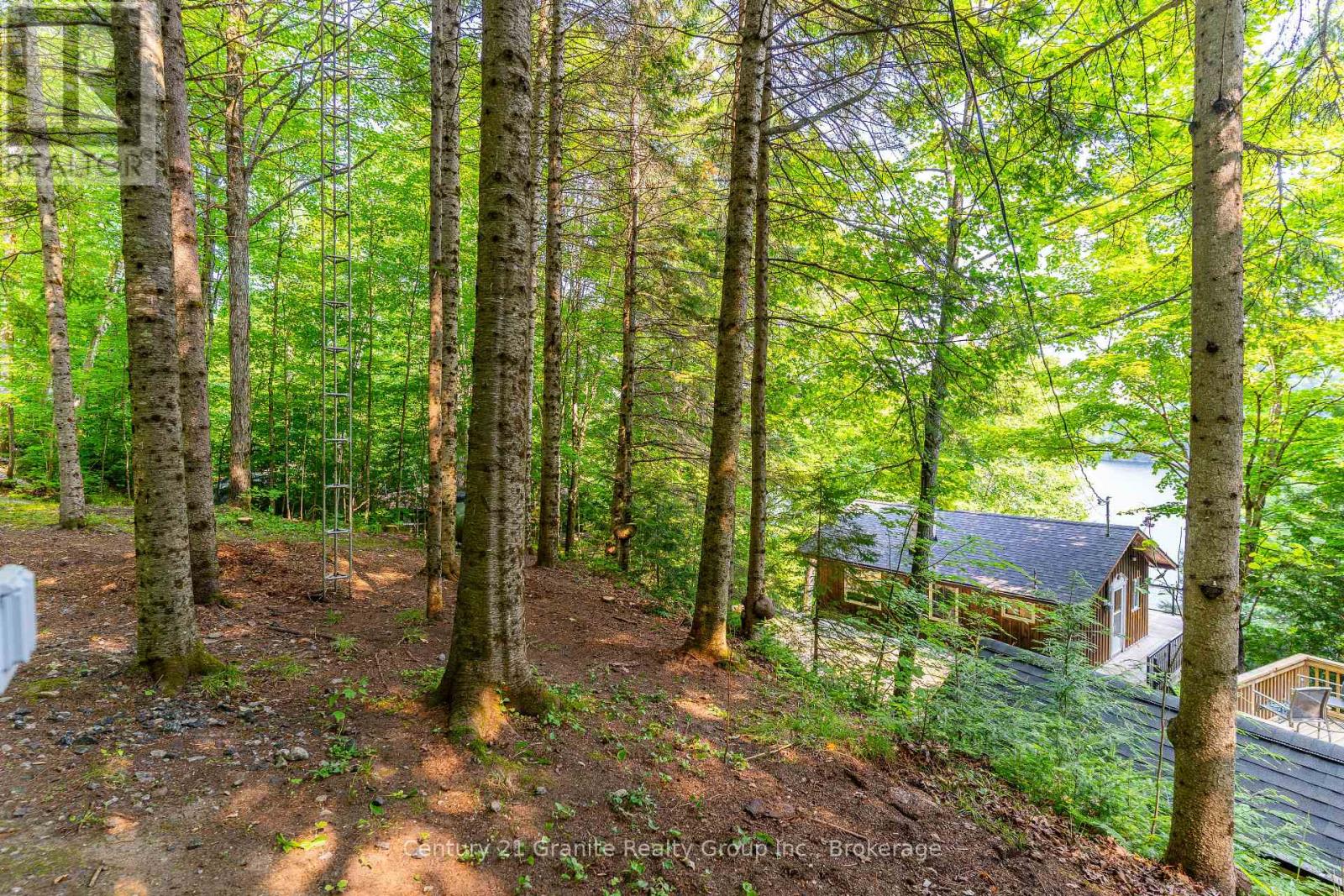 1225 Rowbotham Lane, Highlands East, Ontario  K0L 2Y0 - Photo 3 - X12263876