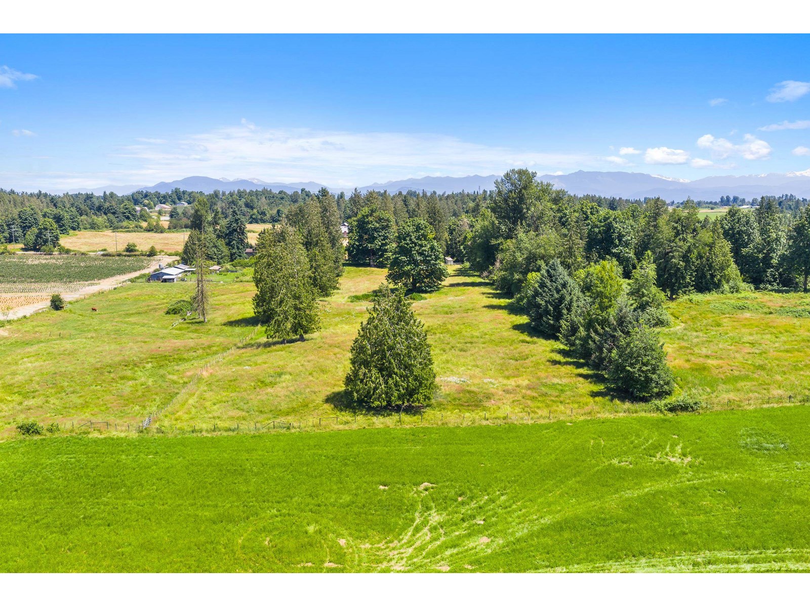 Property at 3759 BRADNER ROAD image 5