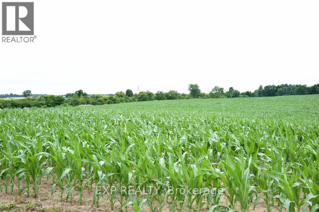 15686 Muirkirk Line, Chatham-Kent (Muirkirk), Ontario  N0L 1X0 - Photo 2 - X12263838