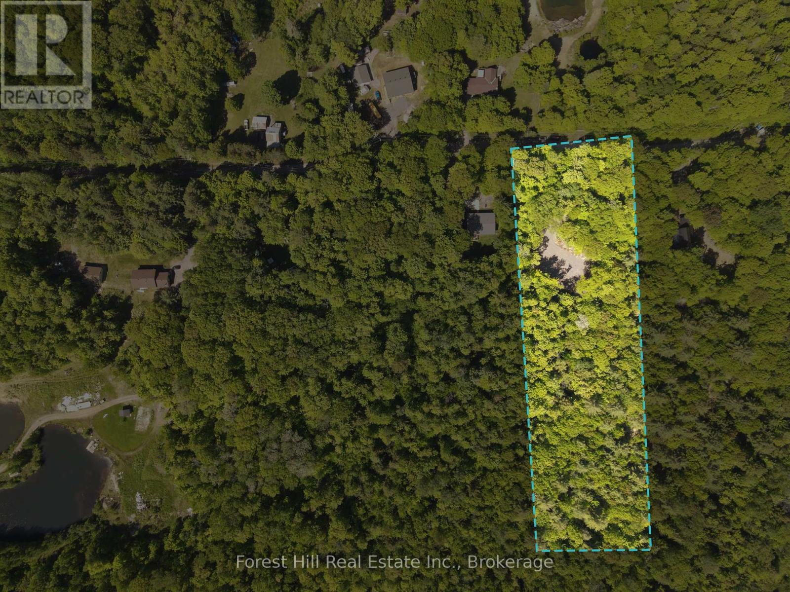 1066 South Muldrew Lake Road, Gravenhurst, Ontario  P0E 1G0 - Photo 2 - X12264034
