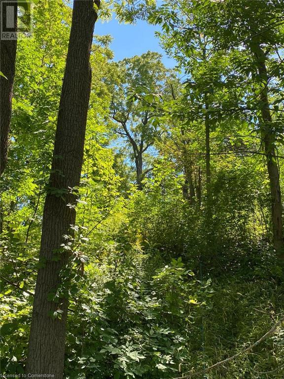 Pt Lt 3 Effingham Street, Fonthill, Ontario L2R 6P7 - Photo 6 - 40748189