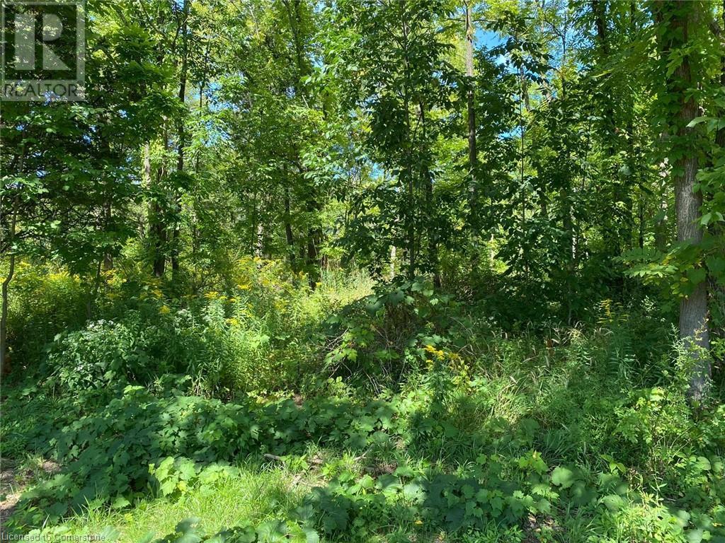 Pt Lt 3 Effingham Street, Fonthill, Ontario L2R 6P7 - Photo 8 - 40748189