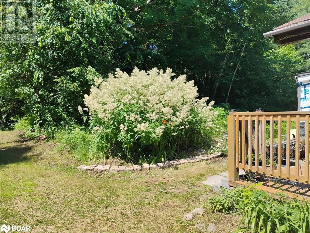 2808 Gelert Road, Minden Hills, Ontario  K0M 2K0 - Photo 3 - 40737195