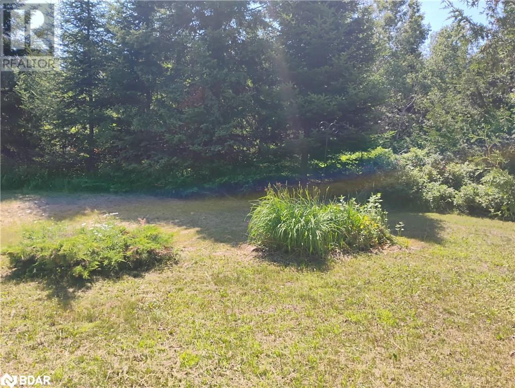 2808 Gelert Road, Minden Hills, Ontario  K0M 2K0 - Photo 8 - 40737195