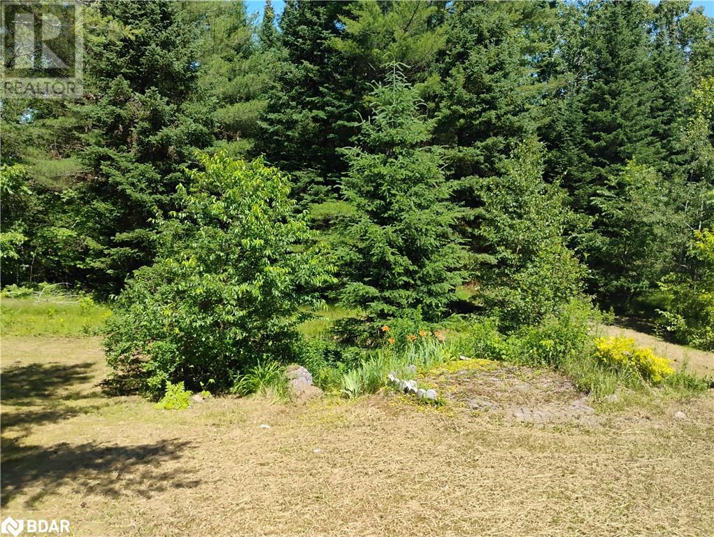 2808 Gelert Road, Minden Hills, Ontario  K0M 2K0 - Photo 7 - 40737195