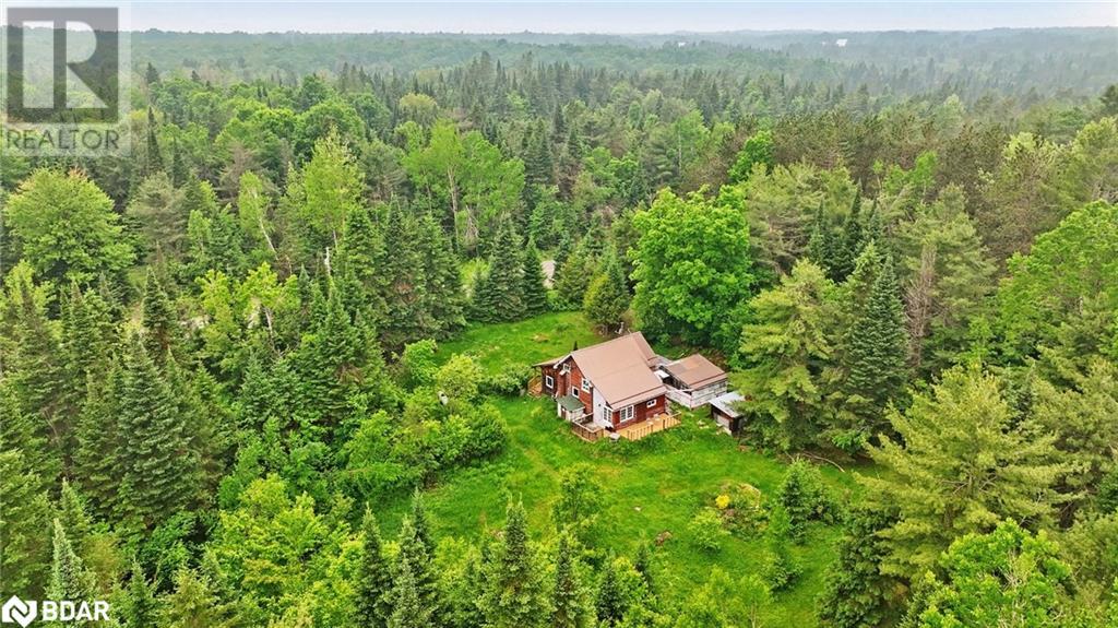 2808 Gelert Road, Minden Hills, Ontario  K0M 2K0 - Photo 39 - 40737195
